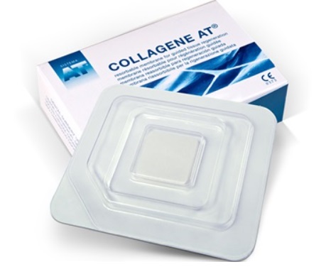 Collagene AT Membrana reabsorbible 22x22mm 6u