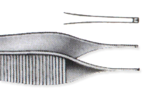 Pinza Adson c/diente 12cm. Quiroproser