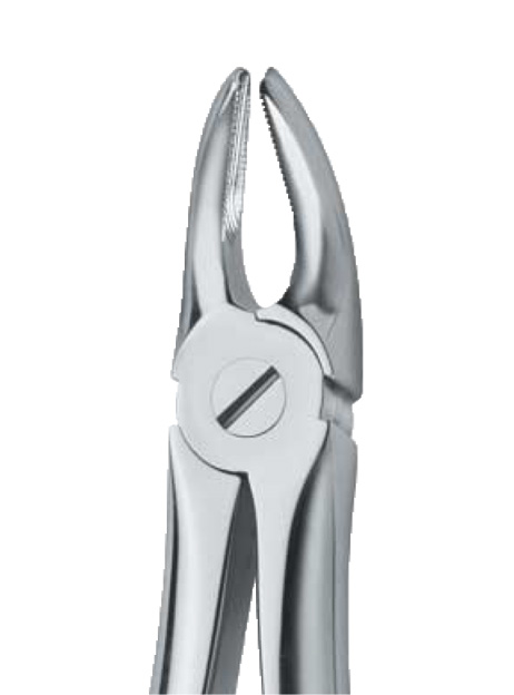 Forceps dental Nº.7 Premolares Martin