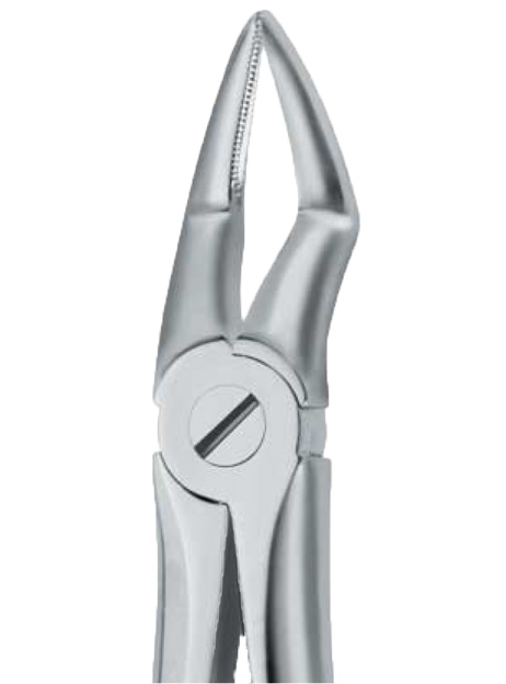 Forceps dental Nº.51 raices superiores Martin