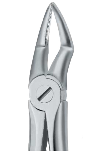 Forceps dental Nº.51A raices superiores Martin