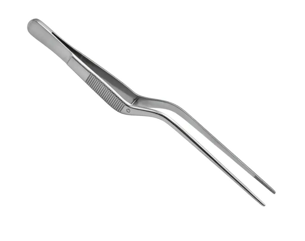 Pinza TAYLOR Bayoneta S/D 17.5cm