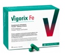 VIGORIX FE 90 CAPSULAS