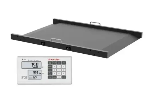 [N09598] Rampa pesadora electrónica MS3830