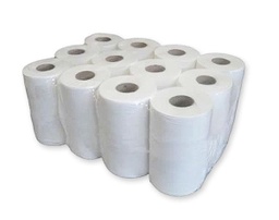 [010162] Papel minisecamanos Eco Gofrado Rollo 80mx20cm 2 capas 1u Gomà Camps