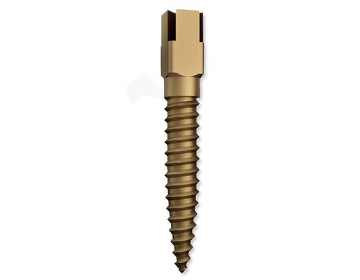 [4791] Dentatus Dorados RRA tornillos 15u