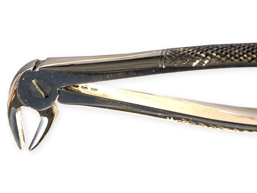 [11021] Forceps dental Nº.21