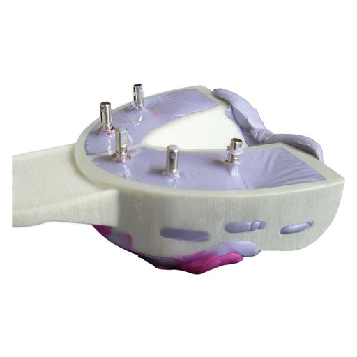[6613] Cubetas para implantes Miratray 6u HAGER & WERKEN