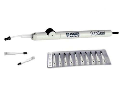 [18524] Gap Seal Kit Aplicador + 10 tips de 0,6 ml Hager&Werken